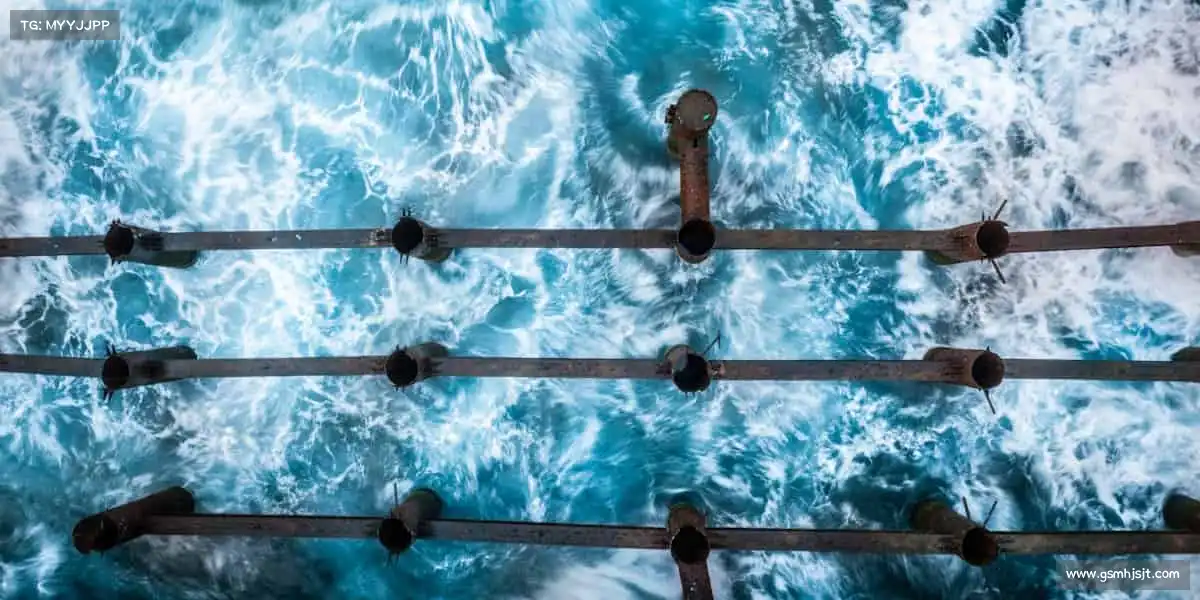 米兰milan汗水不会说谎，努力终有回响！💦